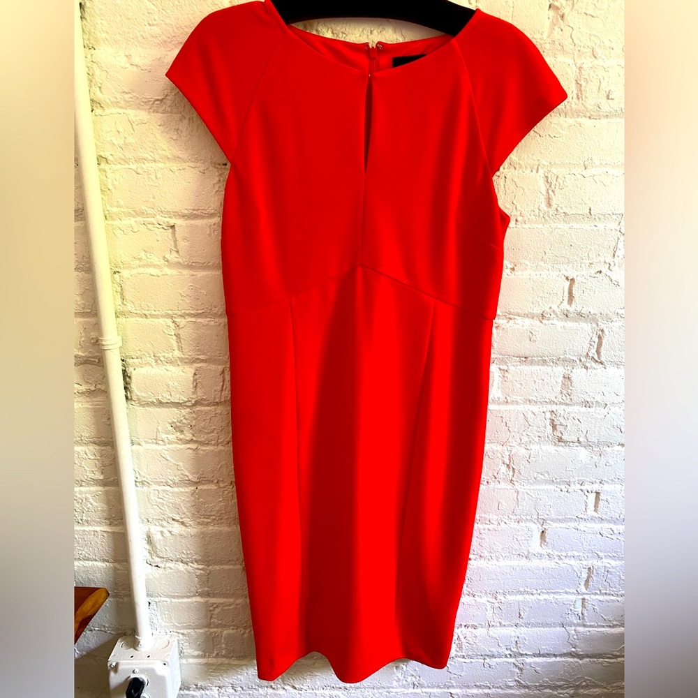 Alex Marie Orange Stealth Dress